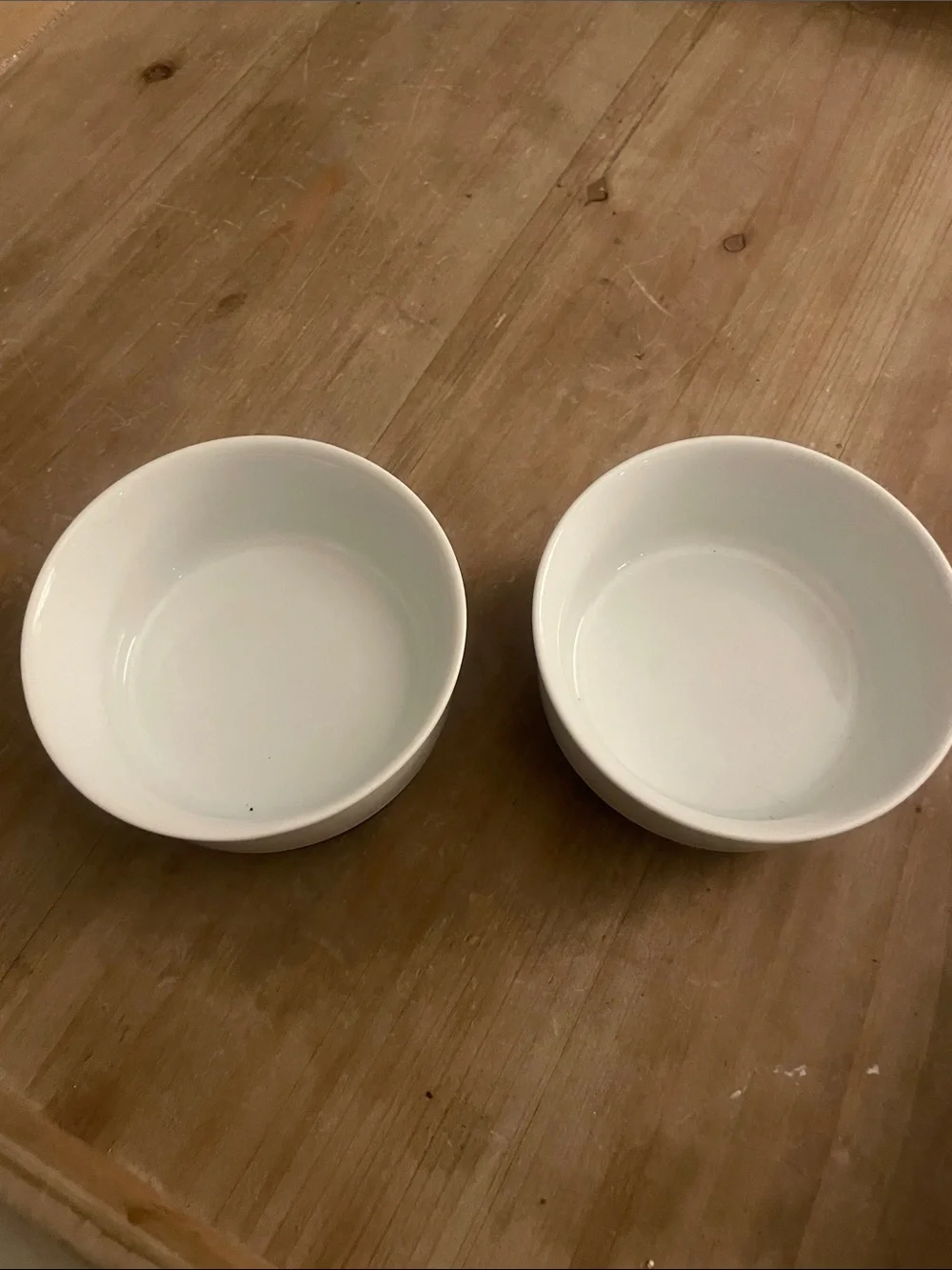 Petco White porcelain  Cat Bowls - Twin Feeding Set (2) 4 inches